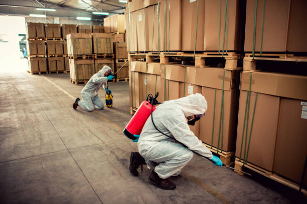 Best Exterminator Services  in Madisonville, TX