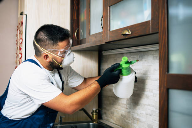 Best Insect Control  in Madisonville, TX