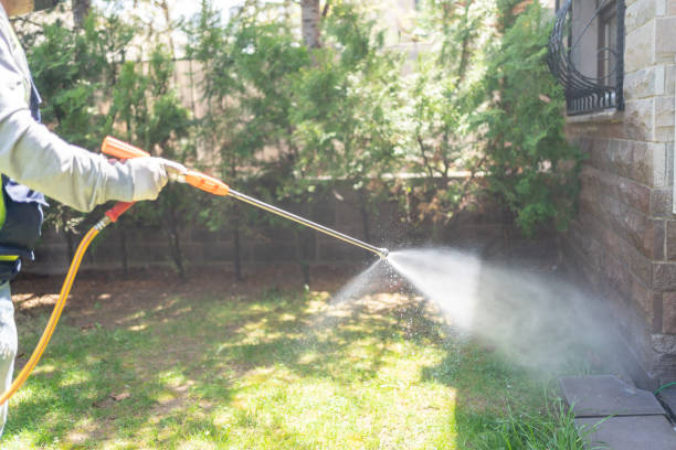 Reliable Madisonville, TX Pest Control Solutions
