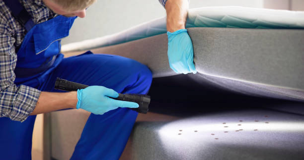 Best Insect Control  in Madisonville, TX