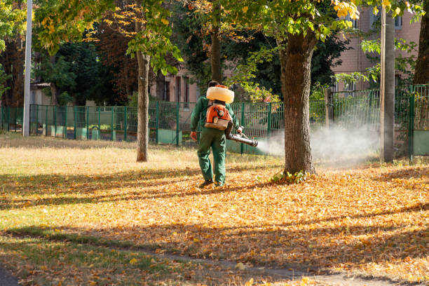Best Rat Extermination Near Me  in Madisonville, TX