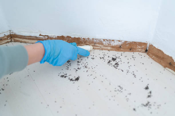 Best Commercial Pest Control Services  in Madisonville, TX